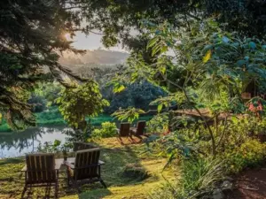 A view of the garden and the pond of ViaVia in Entebbe, Uganda.