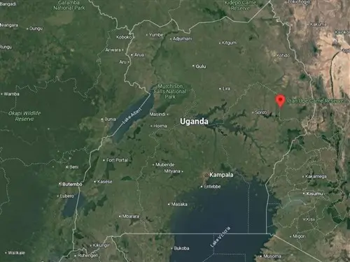 Location of Pian Upe Game Reserve in Uganda.