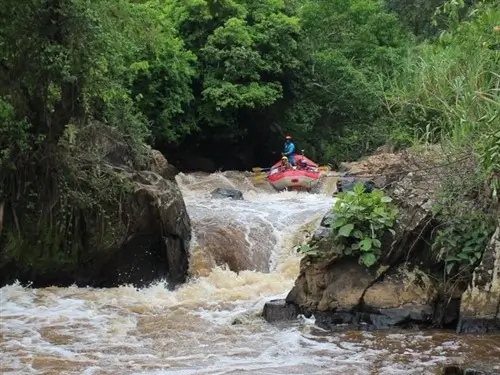 Rafting near Rukungiri in Uganda.