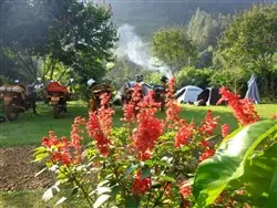 Camping at Ruhondeza Lodge in Uganda.