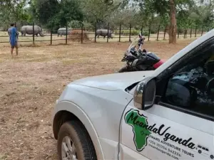 Ziwa Rhinos on a Moto Safari in Uganda.
