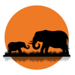 background-elephant background-elephant
